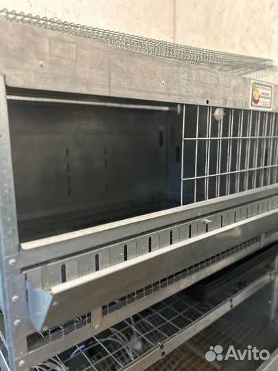 Брудер для цыплят, утят, перепелов