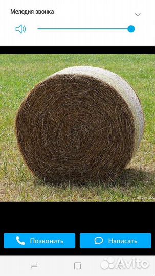 Сено в рулонах