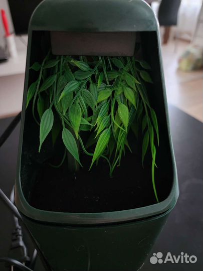 Поилка для хамелеона