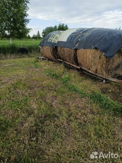 Козье молоко