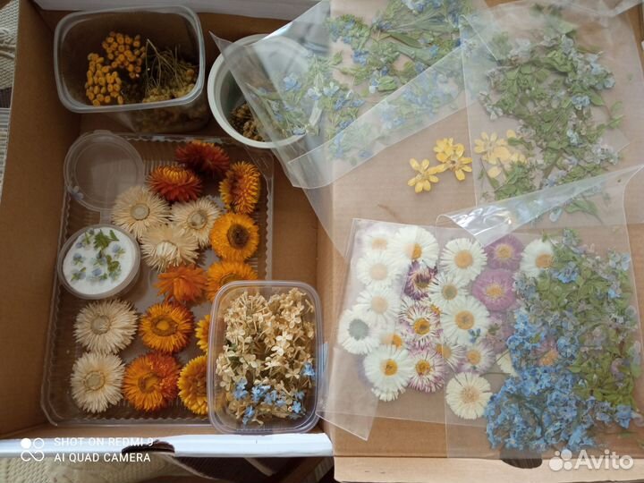 Коробка сушеных цветов