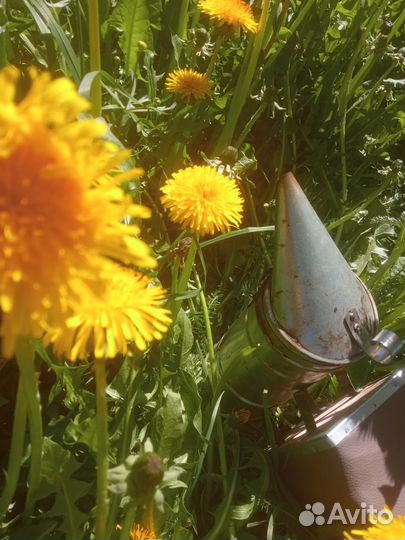 Свежий мед с личной пасеки