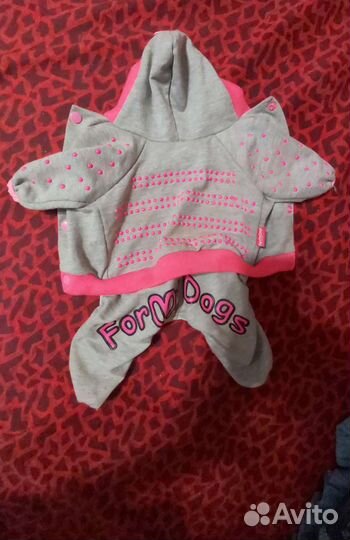 Одежда для собак