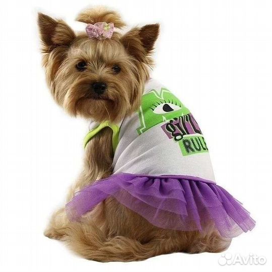 Одежда для собак