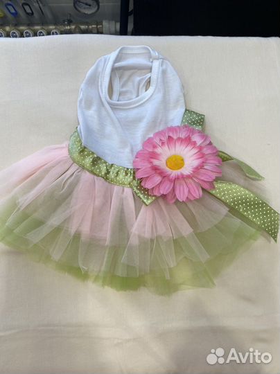 Платья на маленькую собачку