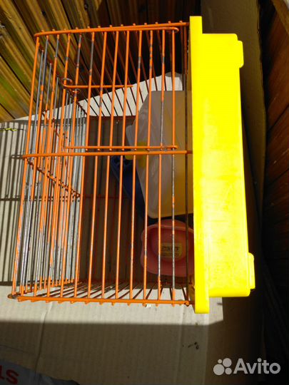 Клетка для джунгарского хомяка
