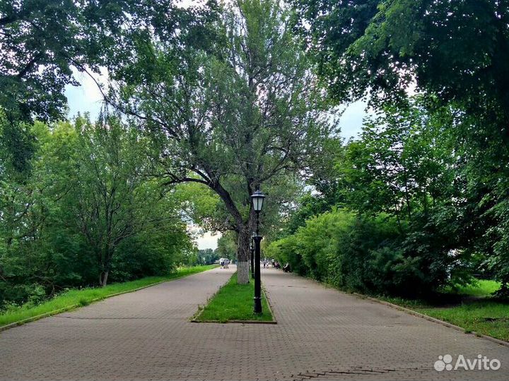 Кострома Топ-Экскурсия Муравьевка: прогулка с секр