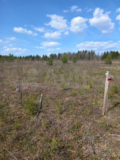 Участок 10 сот. (ИЖС)