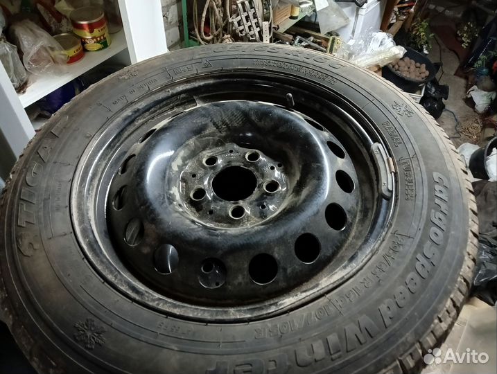 Tigar CargoSpeed Winter 205/65 R16C 107R