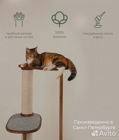 Когтеточка