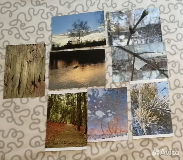 Постеры (фото) формат А3 и А4