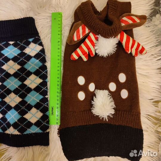 Одежда для небольшой собачки