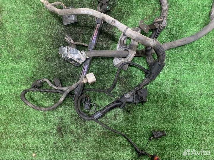 Проводка двс Volkswagen Golf хетчбэк 1.6 102 Л.С