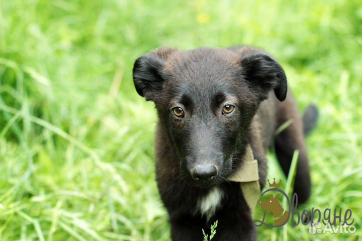 Красивая и обаятельная Ульяша