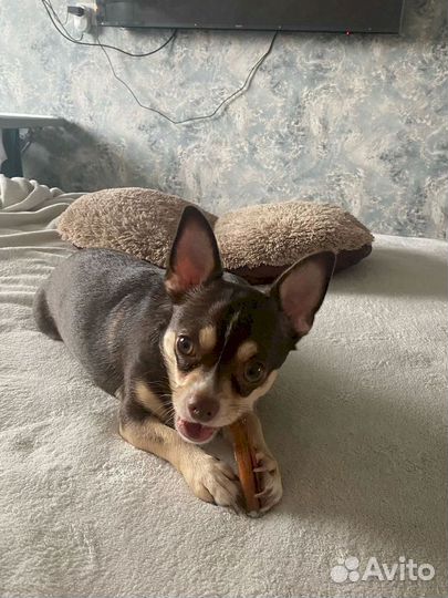 Фигурные лакомства. Без химии