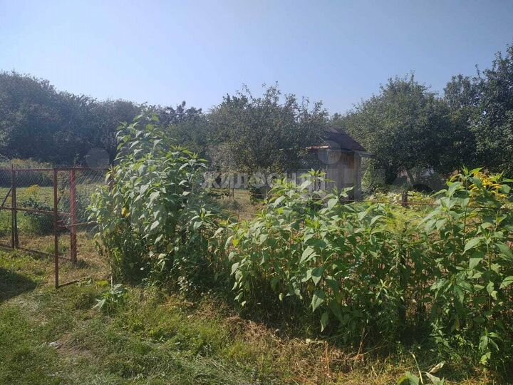 Участок 5,3 сот. (СНТ, ДНП)