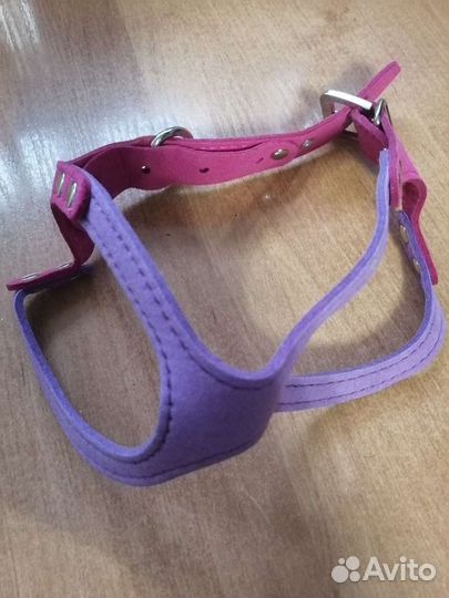 Шлейка для маленькой собаки