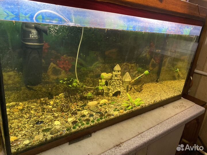 Аквариум