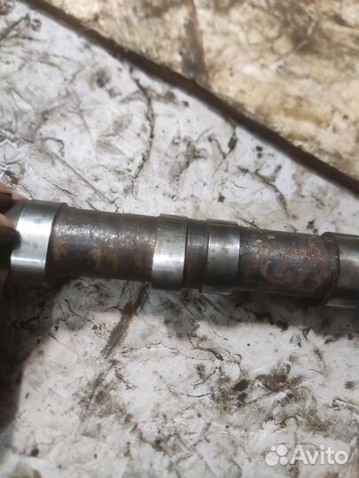 Распредвал днепр мт10-36