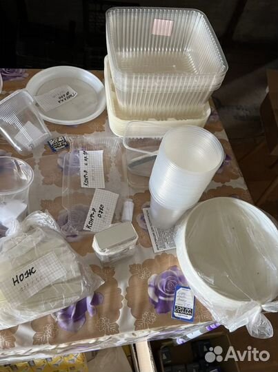 Пластиковые вилки, ложки, ножи, тарелки, контейнер