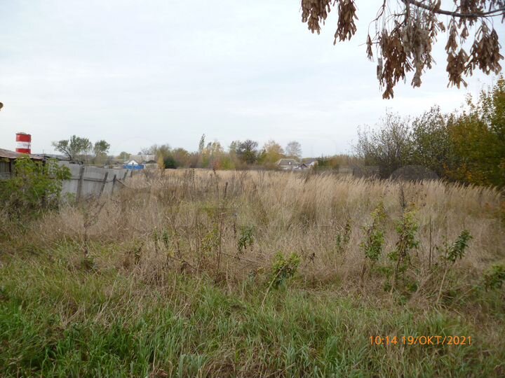 Дом 60 м² на участке 19,5 сот.