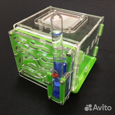 Муравьиные фермы (формикарии) муравьи В подарок