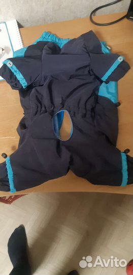 Комбинезон для маленькой собаки