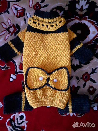 Одежда для питомцев