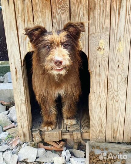 Мишка хочет домой