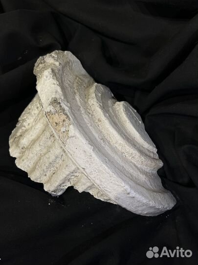 Декоративный фасад(реликвия семьи Морозовых)