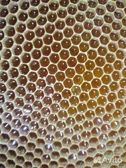 Мед цветочный разнотравье