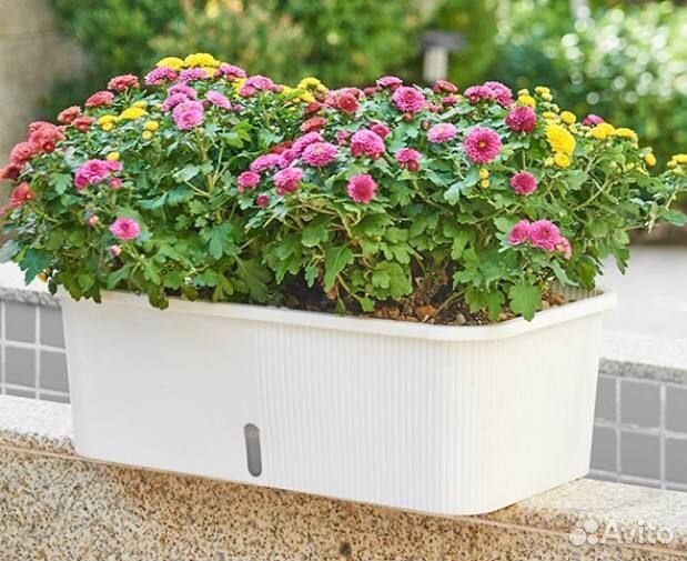 Горшок большой