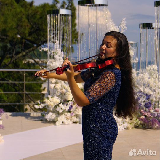 Скрипка на праздник/свадьбу. Живая музыка
