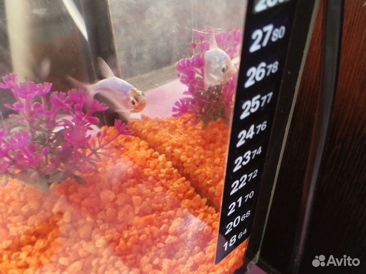 Украшение для аквариума грунт рыбка фильтр
