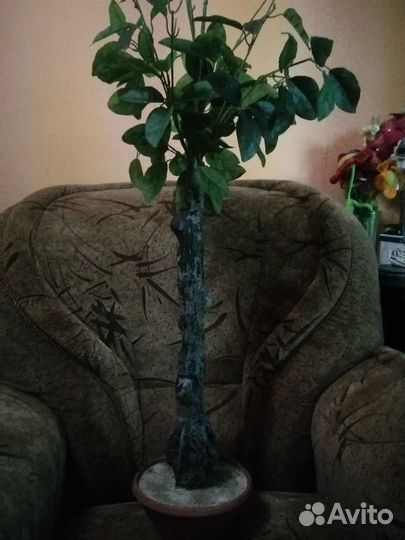 Цветок-дерево