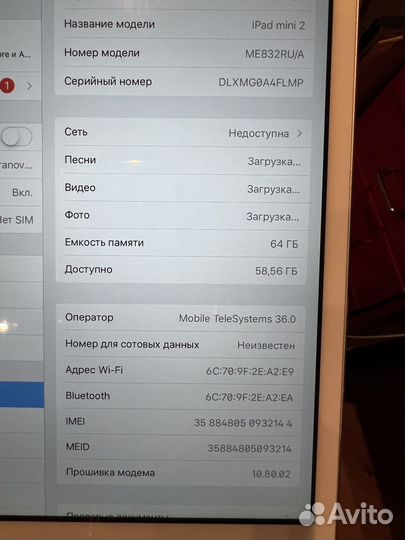 iPad mini 2 64gb cellular