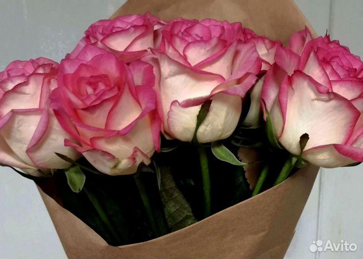 Букет роз. Розы