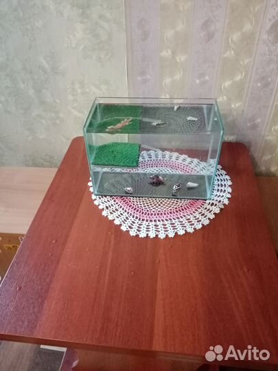 Аквариум с мостиком