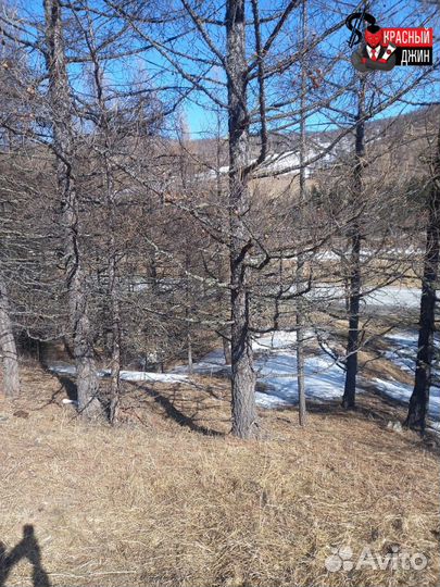 Инвестиции в землю на Алтае / коммерческая земля