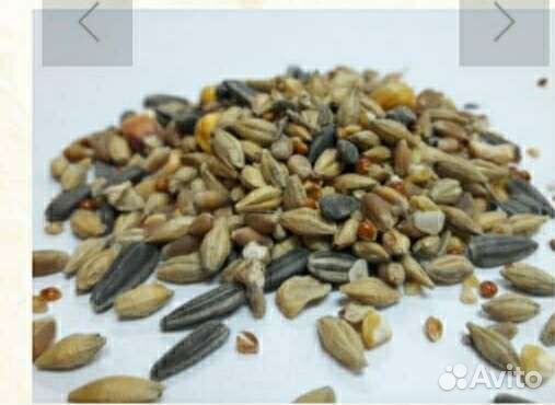 Зерно.Овес,Размол, Опилки