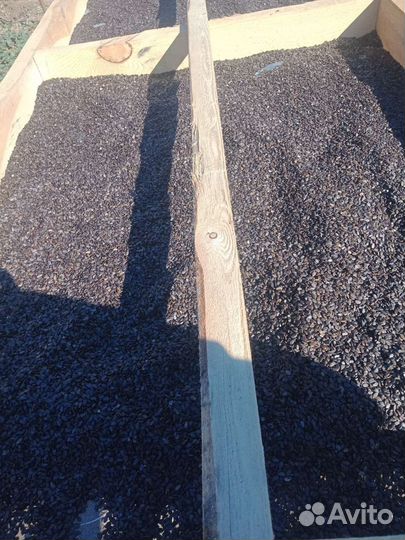 Семена арбуза