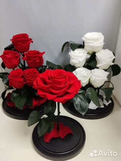 Роза стабилизированная оптом и в розницу