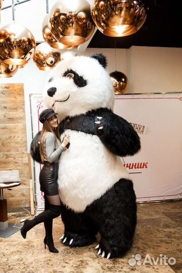 Большая Панда Поздравление