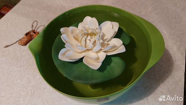 Кувшинки водяные Лилия плавучая Икея