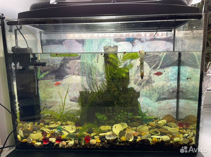Аквариум для рыб 80л