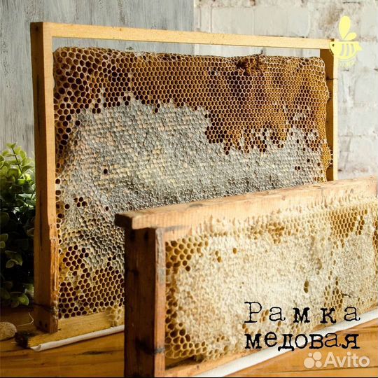 Мед в сотах