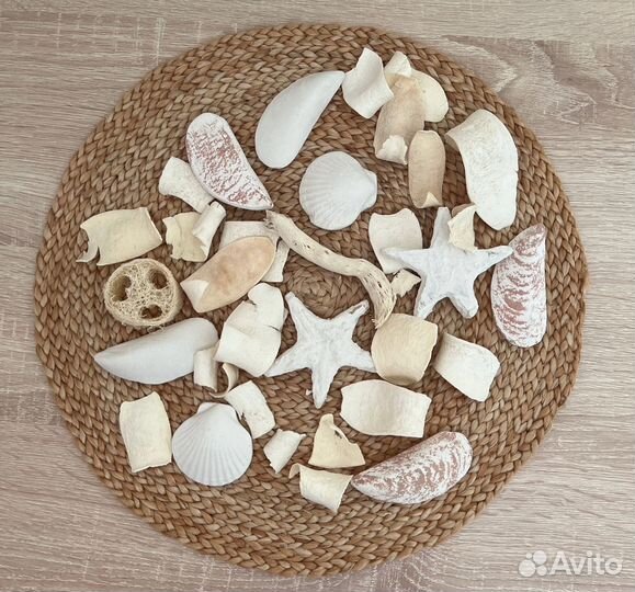 Сувенирные гипсовые ракушки