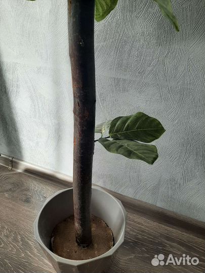 Искусственное дерево