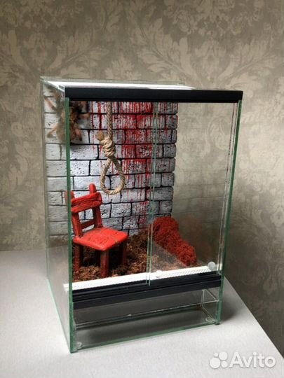 Паук птицеед