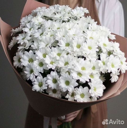 Хризантема Доставка цветов Букеты